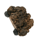 Pet-Tekk MagNaturals Mushroom Ledges - Pisces Pet Emporium