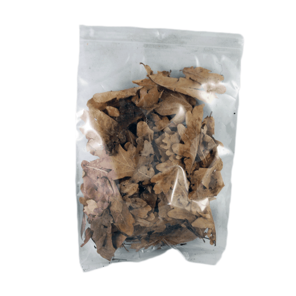 Jurassic Reptile Products - Mini Columnar Oak Leaves - Pisces Pet Emporium