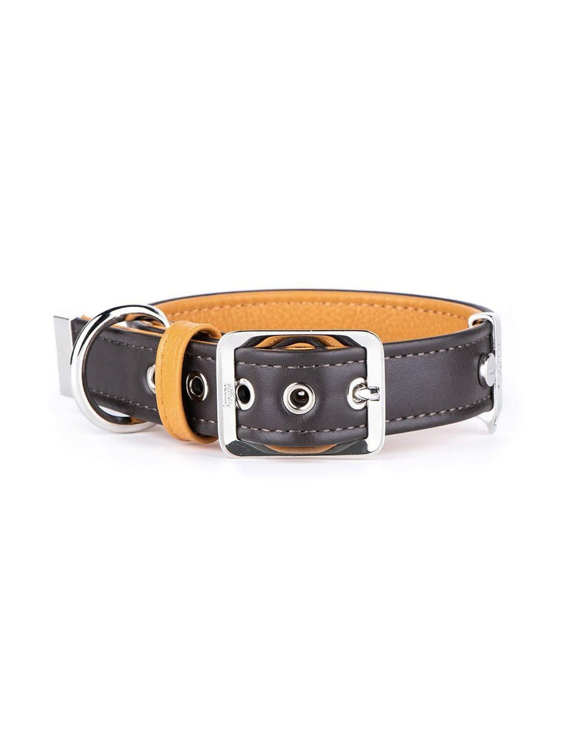 MyFamily Hermitage Collar - Brown/Ochre - Pisces Pet Emporium