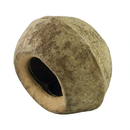 Jurassic Reptile Products - Sapucaia Pod - Pisces Pet Emporium