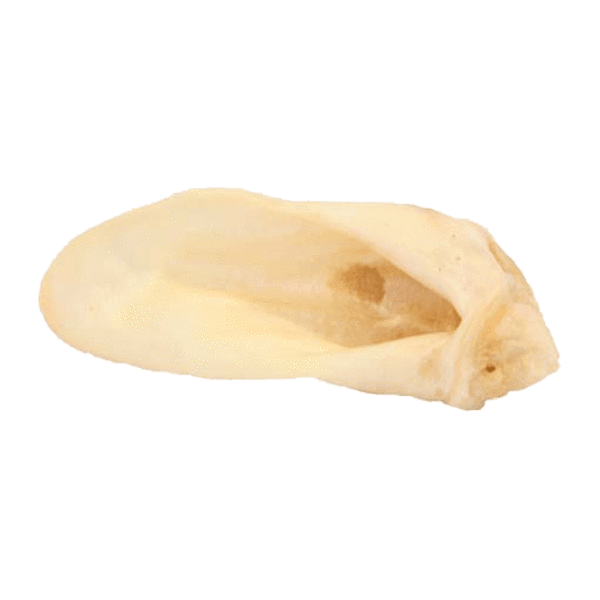 Redbarn Lamb Ear - Single - Pisces Pet Emporium