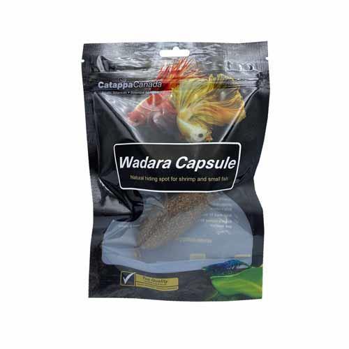 Catappa Wadara Capsule Hiding Spot - Pisces Pet Emporium