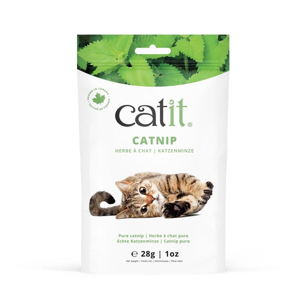 Catit Catnip - Pisces Pet Emporium
