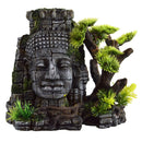 Underwater Treasures Princess of the Jungle - Pisces Pet Emporium