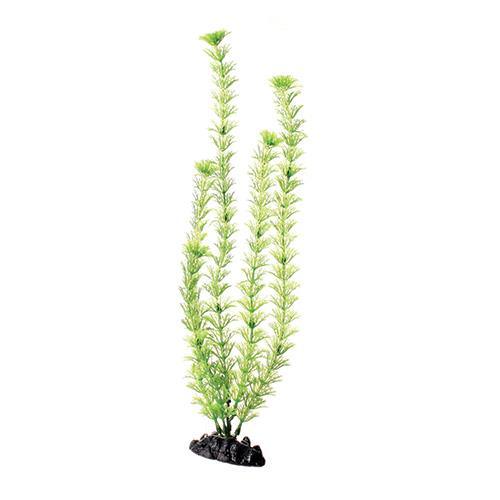 Underwater Treasures Green Cabomba 16" - Pisces Pet Emporium