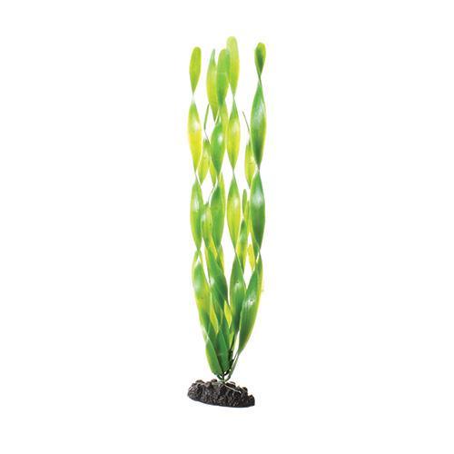 Underwater Treasures Green Jungle Vallisneria 16" - Pisces Pet Emporium