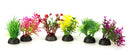 Aqua-Fit Assorted Plant Variety Pack - Pisces Pet Emporium
