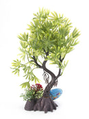 Aqua-Fit Japanese Maple Bonsai - Pisces Pet Emporium