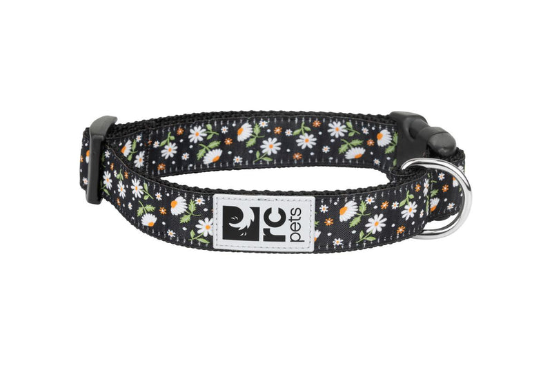 RC Pets Clip Collar - Daisies | Pisces Pet Emporium