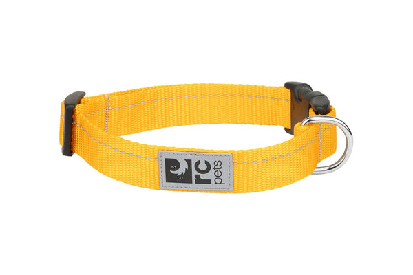 RC Pets Primary Clip Collar - Marigold Dog | Pisces