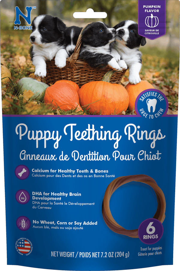 N-Bone Puppy Teething Ring 6-Pack - Pumpkin - Pisces Pet Emporium