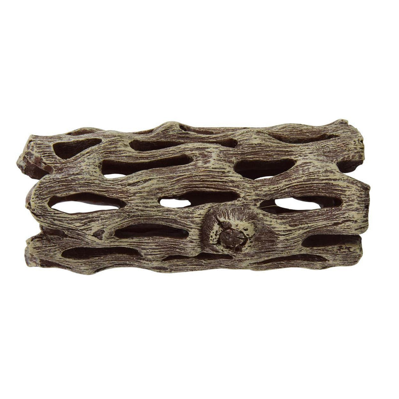 Underwater Treasures Cholla Wood - Pisces Pet Emporium