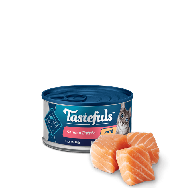 Blue Tastefuls - Salmon Pate 156g