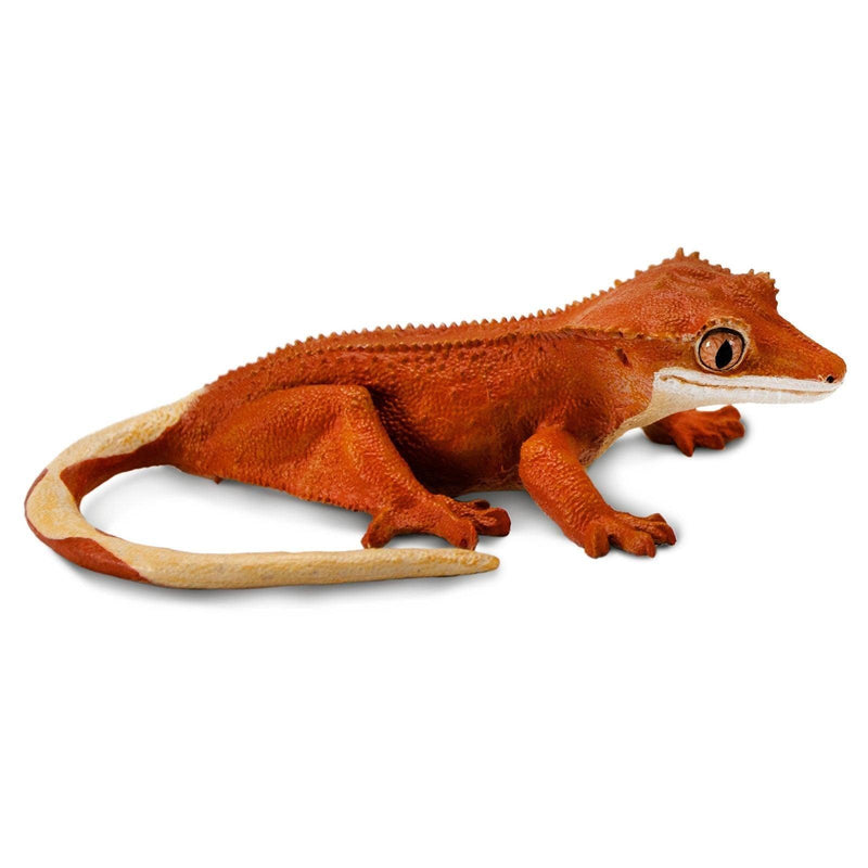 Safari Ltd. Crested Gecko - Pisces Pet Emporium