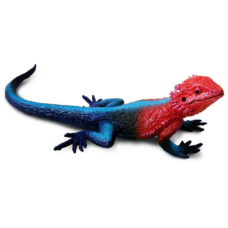 Safari Ltd. Mwanza Flat-Headed Rock Agama - Pisces Pet Emporium