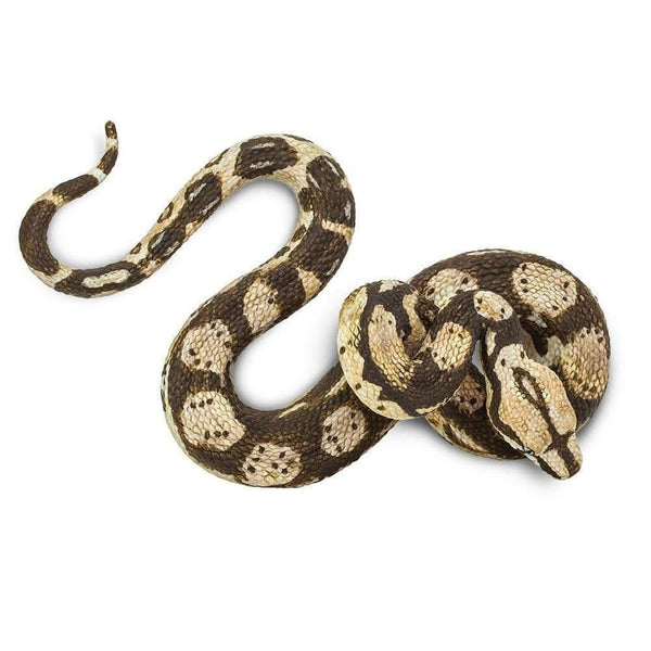 Safari Ltd. Boa Constrictor - Pisces Pet Emporium