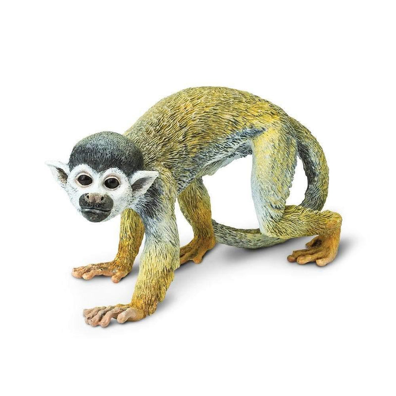 Safari Ltd. Spider Monkey Toy Model Replica | Pisces