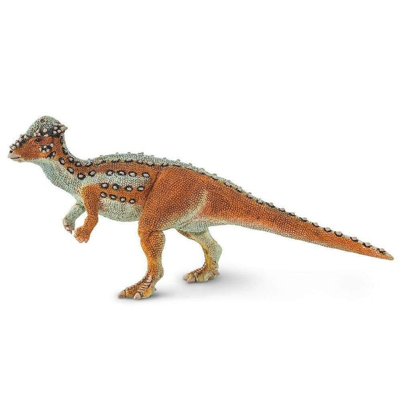 Safari Ltd. Pachycephalosaurus - Pisces Pet Emporium