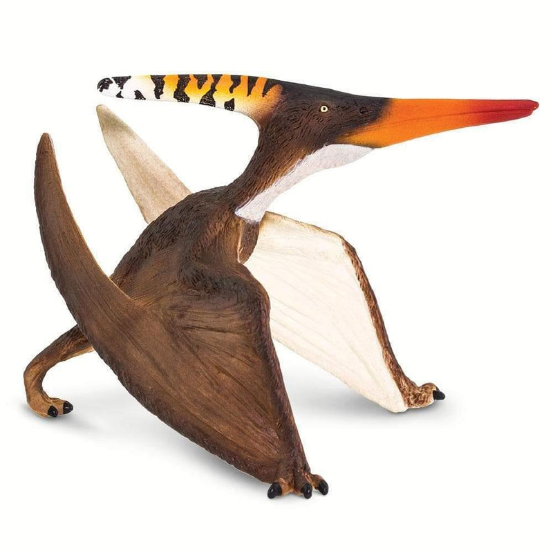 Safari Ltd. Pteranodon - Pisces Pet Emporium