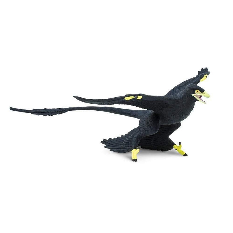 Safari Ltd. Microraptor - Pisces Pet Emporium