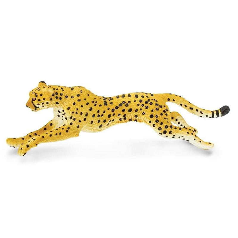 Safari Ltd. Cheetah - Pisces Pet Emporium