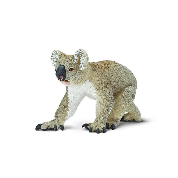 Safari Ltd. Koala - Pisces Pet Emporium