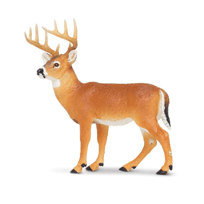 Safari Ltd. Whitetail Buck - Pisces Pet Emporium