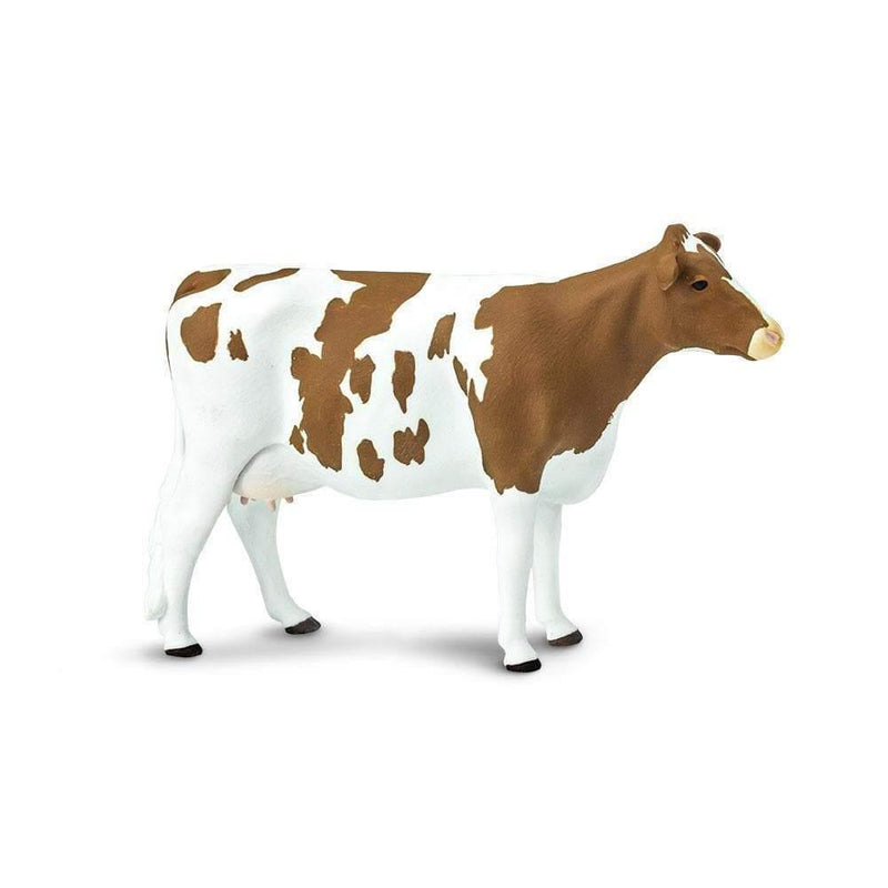 Safari Ltd. Ayrshire Cow - Pisces Pet Emporium