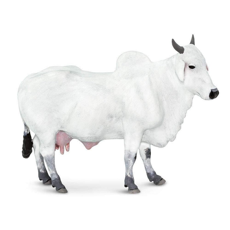 Safari Ltd. Ongole Cow - Pisces Pet Emporium