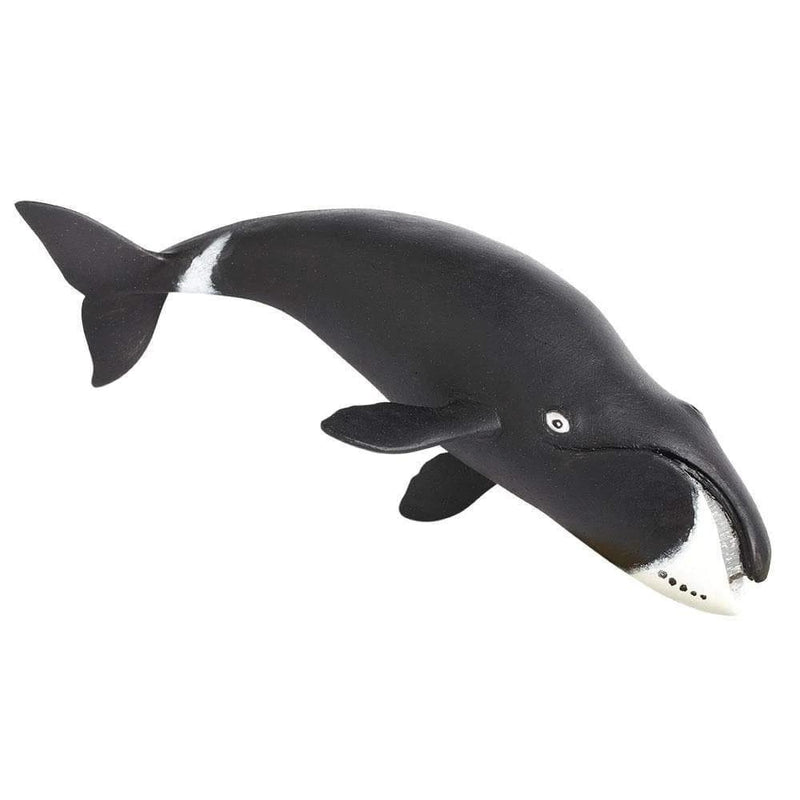 Safari Ltd. Bowhead Whale - Pisces Pet Emporium