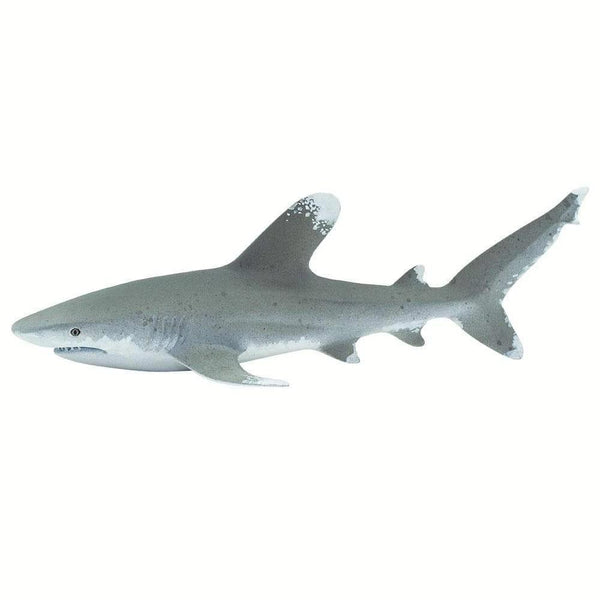 Safari Ltd. Oceanic Whitetip Shark Toy - Pisces Pet Emporium