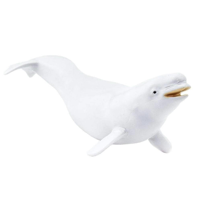 Safari Ltd. Beluga Whale Toy - Pisces Pet Emporium