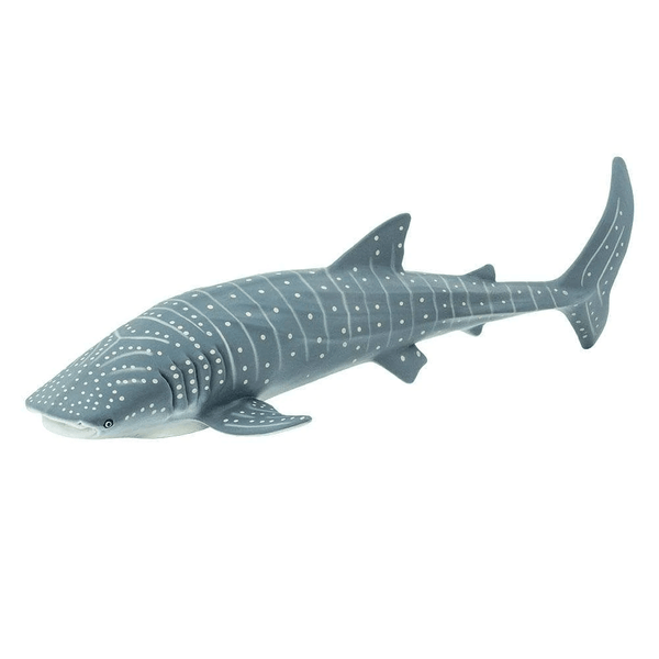 Safari Ltd. Whale Shark - Pisces Pet Emporium