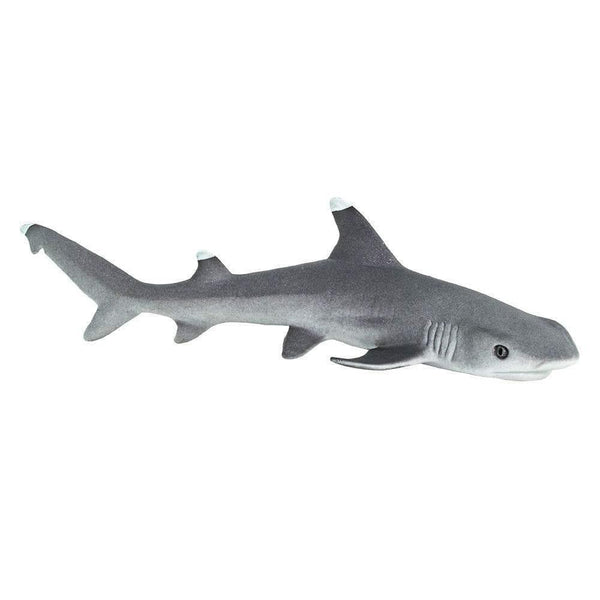 Safari Ltd. Whitetip Reef Shark - Pisces Pet Emporium