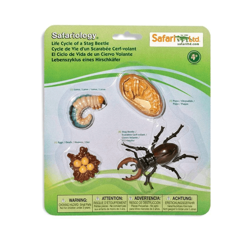 Safari Ltd. Life Cycle of a Stag Beetle - Pisces Pet Emporium