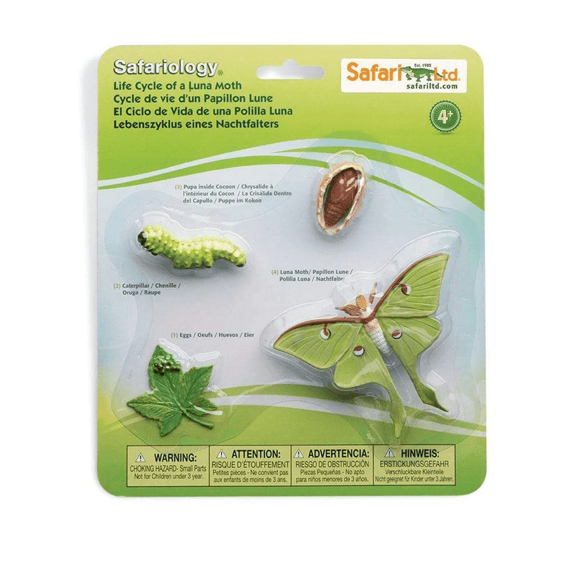 Safari Ltd. Life Cycle of a Luna Moth - Pisces Pet Emporium