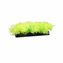 Penn Plax Aqua-Scaping Glow Bunch Plant - Green - Pisces Pet Emporium