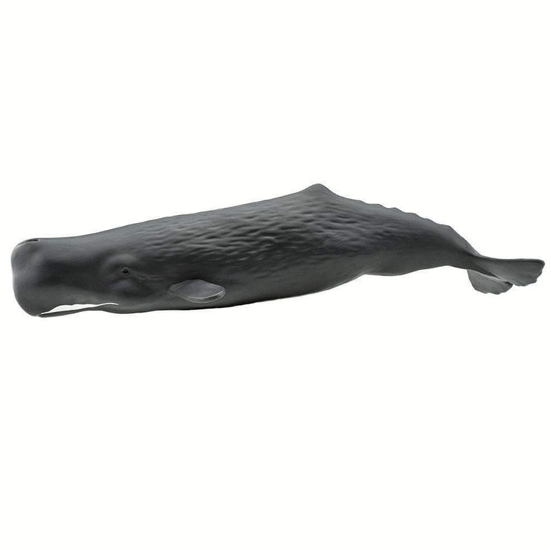 Safari Ltd. Sperm Whale Toy | Pisces