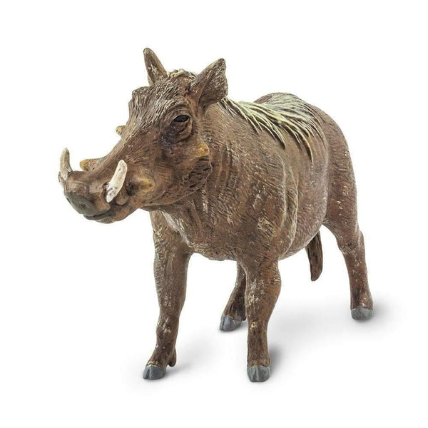 Safari Ltd. Warthog Toy | Pisces
