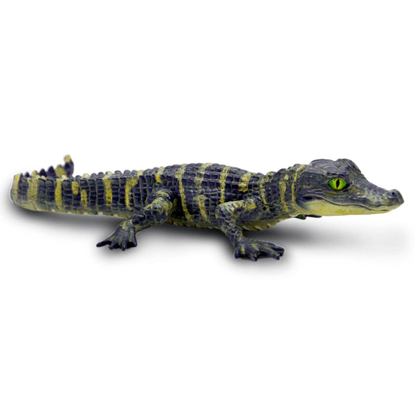 Safari Ltd. Alligator Baby Toy | Pisces