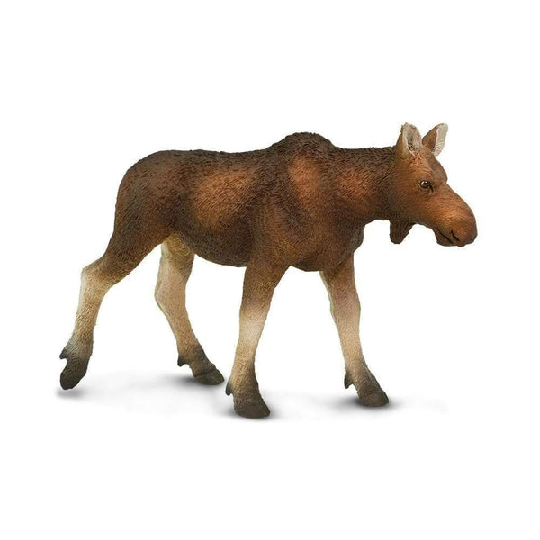 Safari Ltd. Cow Moose Toy | Pisces