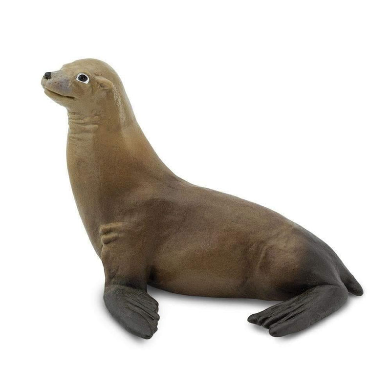 Safari Ltd. Sea Lion Toy Replica | Pisces