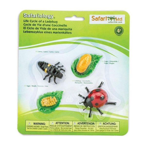 Safari Ltd. Life Cycle of a Ladybug Toy | Pisces