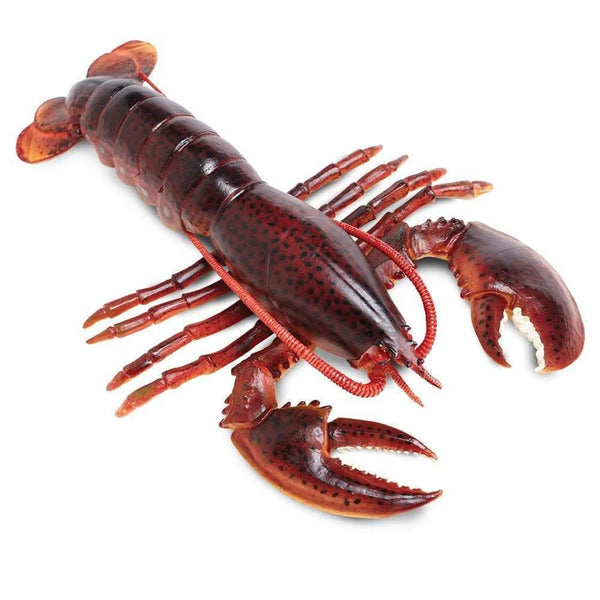 Safari Ltd. Maine Lobster Toy | Pisces