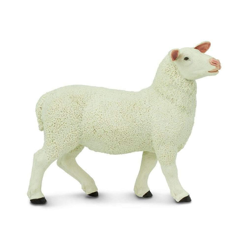 Safari Ltd. Ewe Toys | Pisces