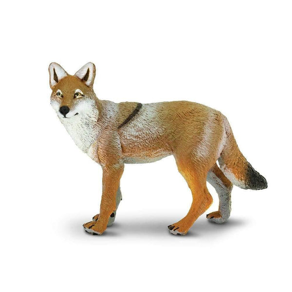 Safari Ltd. Coyote Toy | Pisces