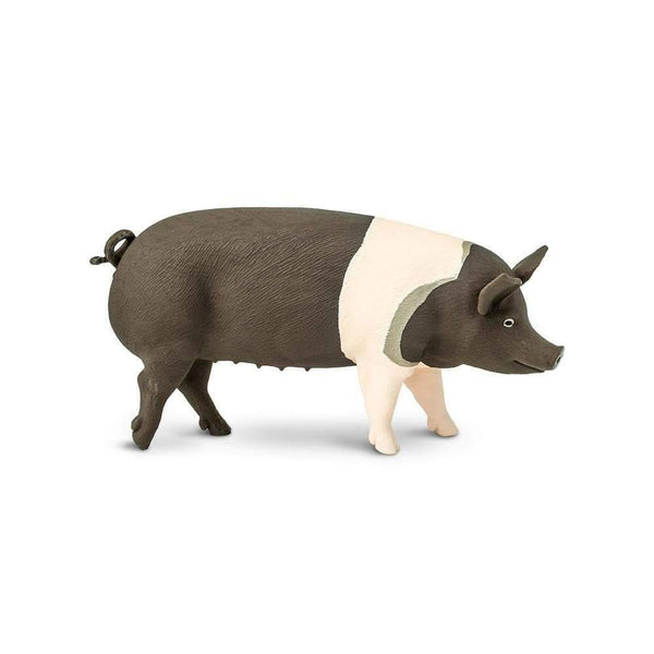 Safari Ltd. Hampshire Pig Toy | Pisces