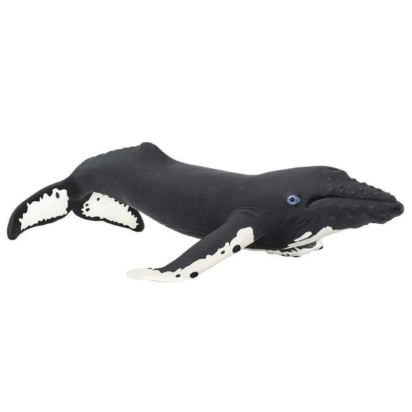 Safari Ltd. Humpback Whale Toy | Pisces