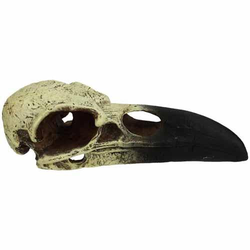 Komodo Raven Skull Ornament | Pisces
