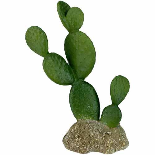 Komodo Prickly Pear Cactus Ornament | Pisces